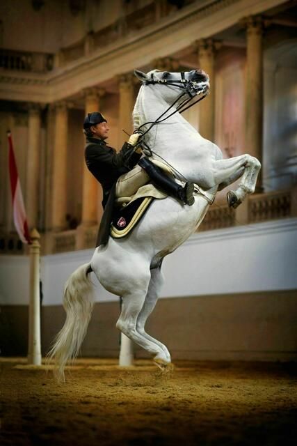 Spanische Hofreitschule