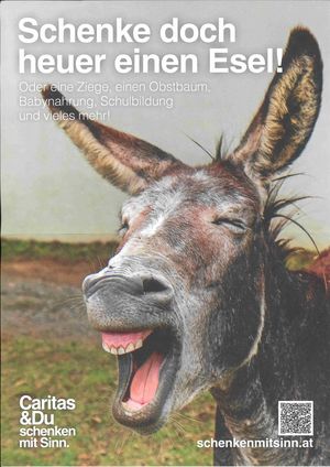 Schenke einen Esel