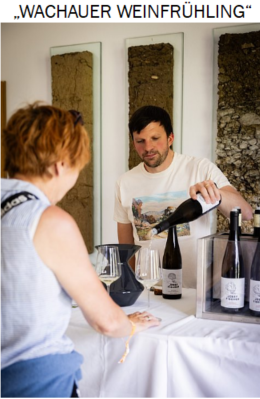 Wachauer Weinfrühling
